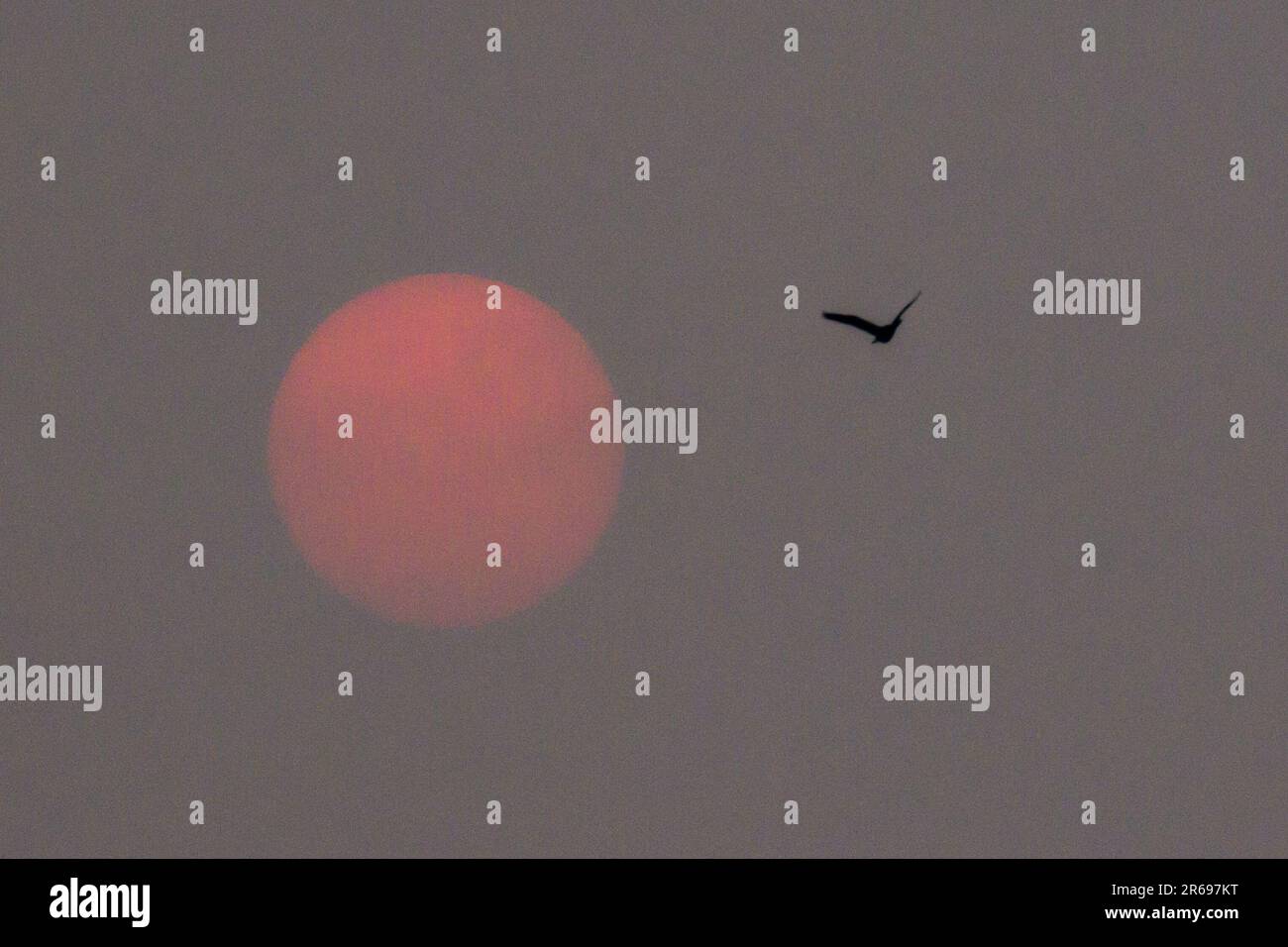 New York, États-Unis. 7th juin 2023. Un brouillard dense causé par la fumée des feux de forêt canadiens bloque le soleil et la vue de Manhattan au réservoir de Central Park en milieu d'après-midi. La qualité de l'air dans la ville de New York est à son pire niveau jamais enregistré, ce qui a provoqué une crise d'urgence qui a inclus la fermeture d'écoles et l'annulation de la plupart des activités de plein air. Credit: Enrique Shore/Alay Live News Banque D'Images