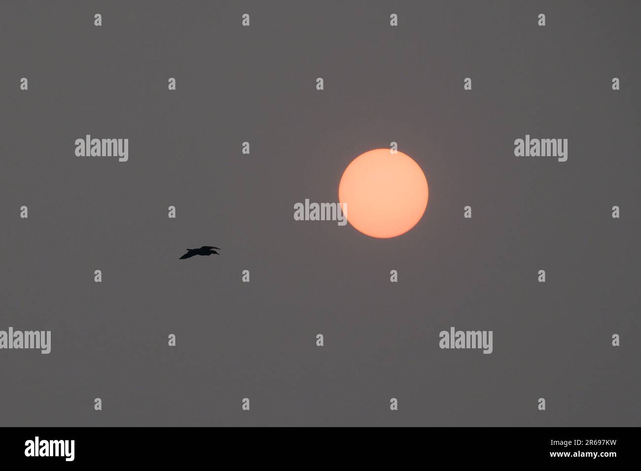 New York, États-Unis. 7th juin 2023. Un brouillard dense causé par la fumée des feux de forêt canadiens bloque le soleil et la vue de Manhattan au réservoir de Central Park en milieu d'après-midi. La qualité de l'air dans la ville de New York est à son pire niveau jamais enregistré, ce qui a provoqué une crise d'urgence qui a inclus la fermeture d'écoles et l'annulation de la plupart des activités de plein air. Credit: Enrique Shore/Alay Live News Banque D'Images