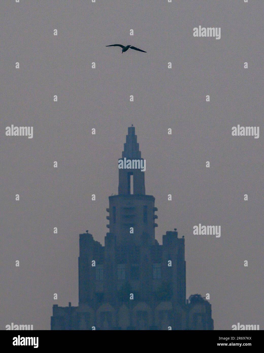 New York, États-Unis. 7th juin 2023. Un brouillard dense causé par la fumée des feux de forêt canadiens bloque le soleil et la vue de Manhattan au réservoir de Central Park en milieu d'après-midi. La qualité de l'air dans la ville de New York est à son pire niveau jamais enregistré, ce qui a provoqué une crise d'urgence qui a inclus la fermeture d'écoles et l'annulation de la plupart des activités de plein air. Credit: Enrique Shore/Alay Live News Banque D'Images