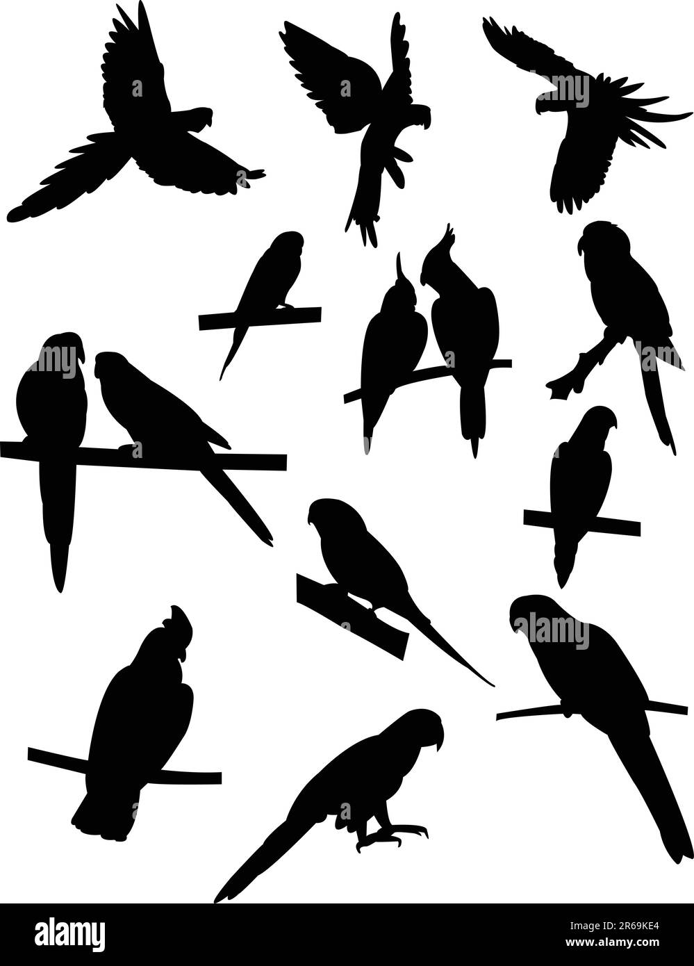 collection de perroquets silhouettes - vecteur Illustration de Vecteur