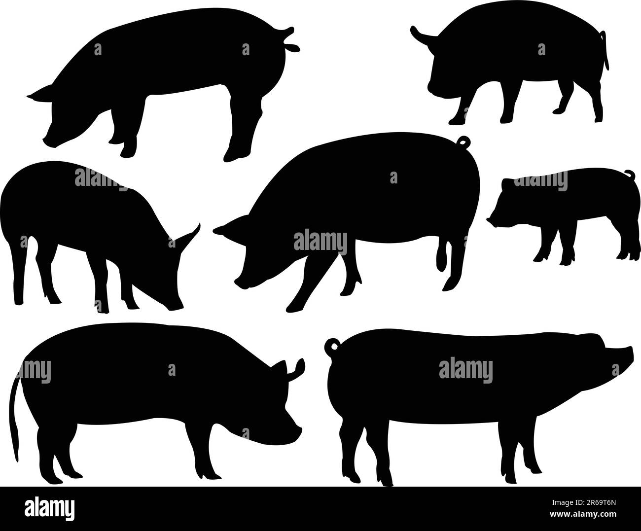 collection de porcs - vecteur Illustration de Vecteur