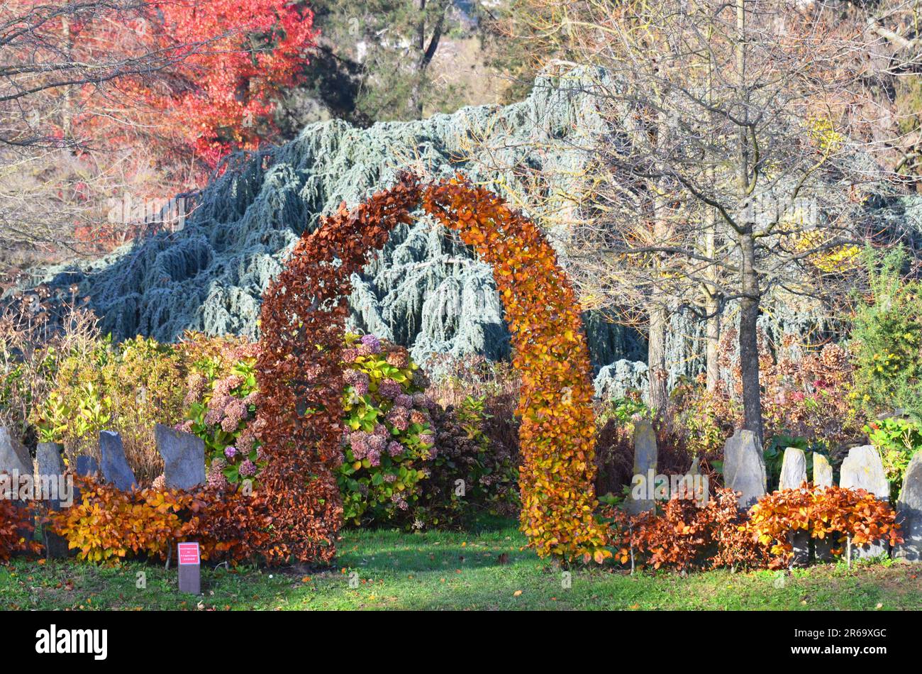 FRANCE. ILE-DE-FRANCE. HAUTS-DE-SEINE (92). CHATENAY-MALABRY. L'ARBORETUM DE LA VALLÉE AUX LOUPS EN AUTOMNE. Banque D'Images