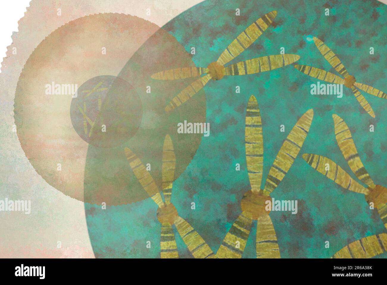 La cellule avec des chromosomes dans le chromosome se trouve tout ce qui est important pour les cellules et de faire fonctionner le métabolisme Banque D'Images