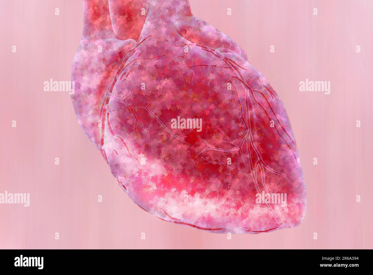Coeur le coeur a un muscle creux et 4 chambres, illustration, sciences naturelles, biologie, illustration, sciences naturelles, biologie, art abstrait Banque D'Images