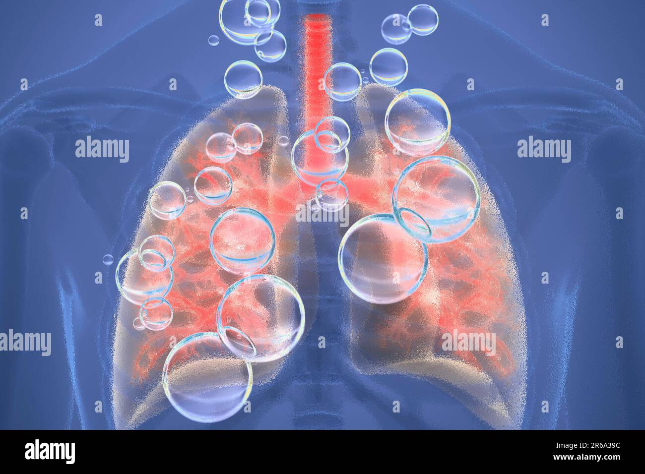 Poumons les poumons sont l'organe de notre corps qui assure que l'oxygène vital de l'air que nous respirons entre dans notre sang, illustration, naturel Banque D'Images