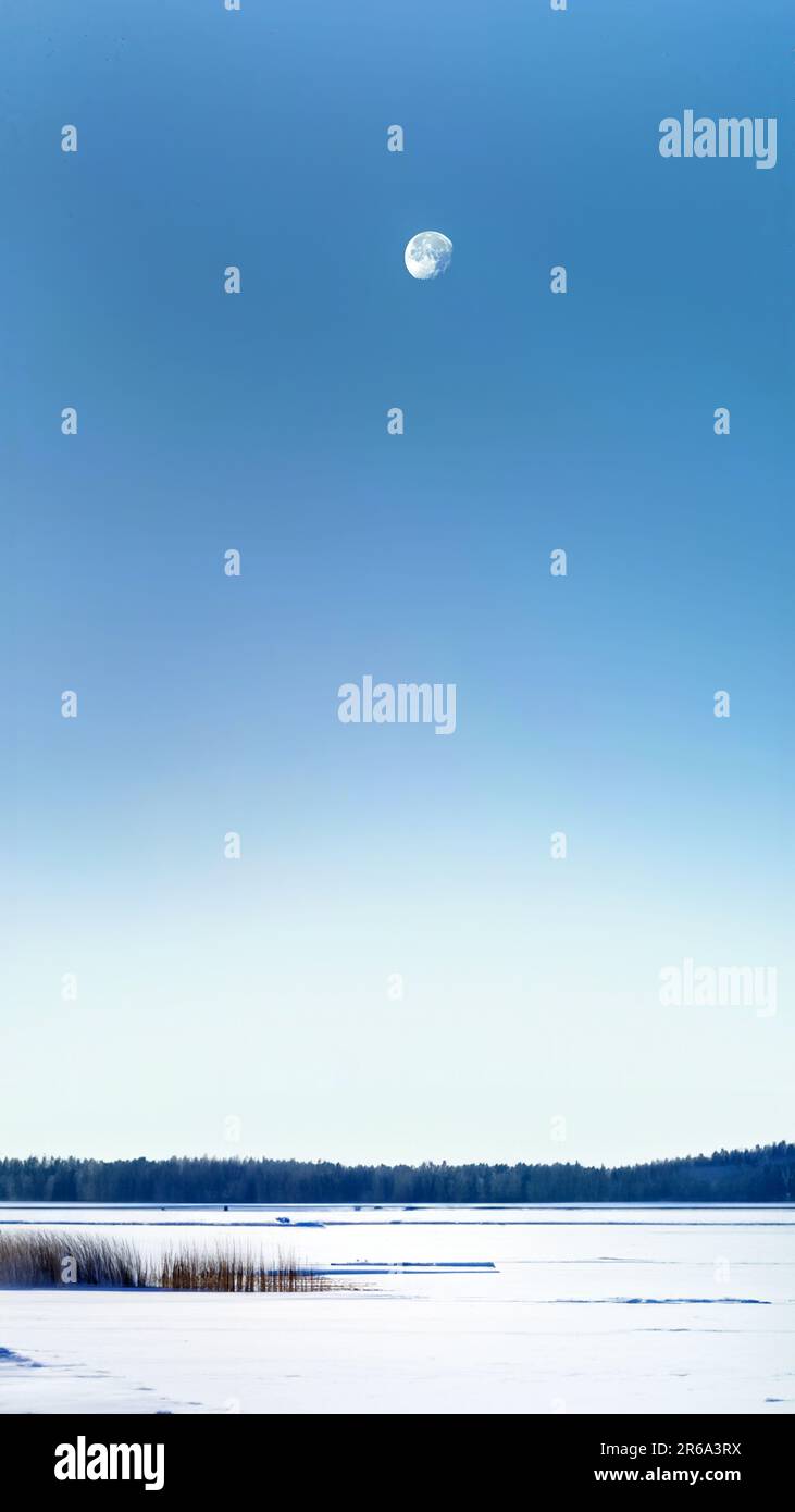 Image verticale, troisième quart de croissant de lune dans un ciel bleu froid avec paysage de neige blanc, lac de glace et forêt de pins, crépuscule, zone de cercle arctique, natur Banque D'Images