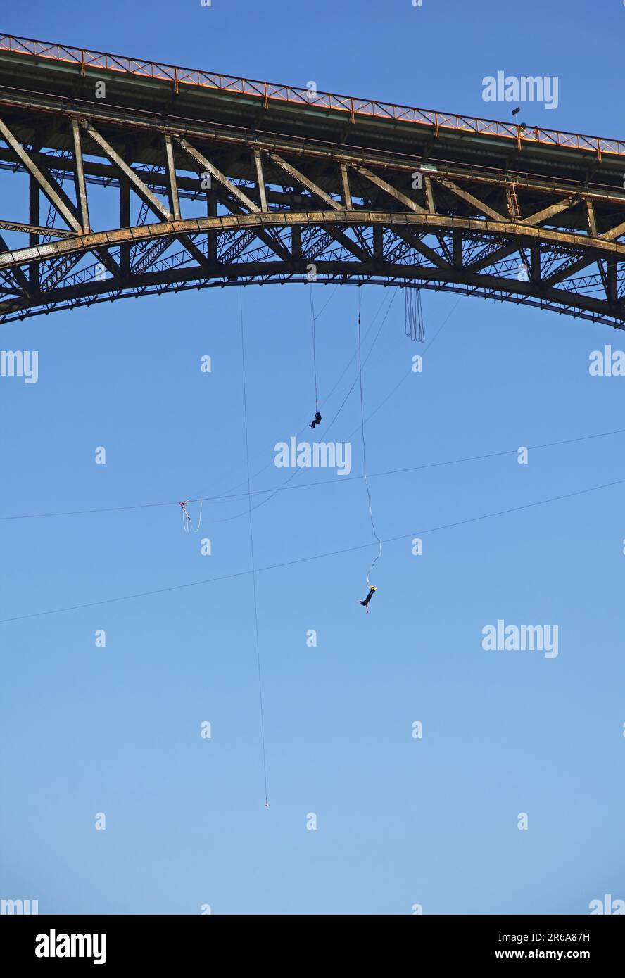 Saut à l'élastique nahe der Victoria F Banque D'Images