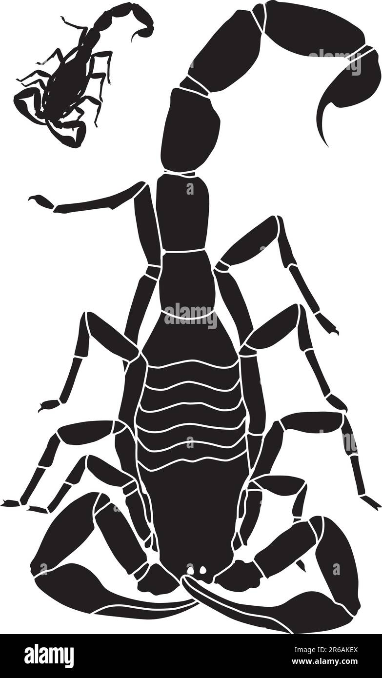 Vector illustration d'un scorpion avec grandes lignes de base inclus Illustration de Vecteur