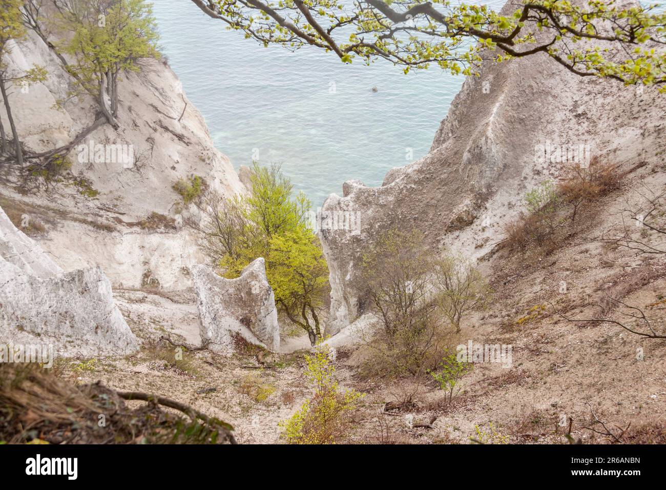 White Cliffs - Mons, le Danemark, l'Europe. Banque D'Images