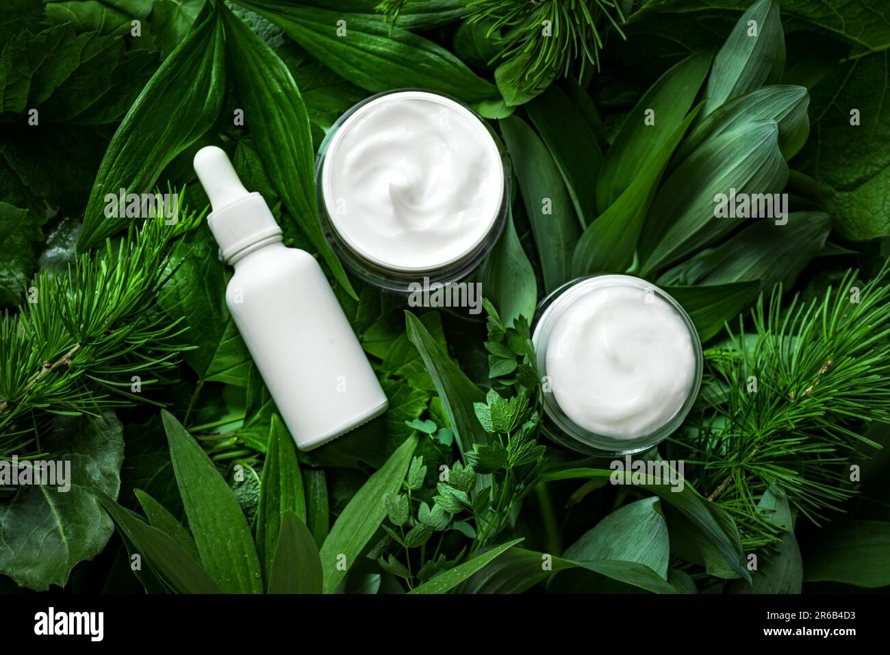 Produits cosmétiques biologiques sur des feuilles vertes comme  arrière-plan, vue de dessus. La beauté écologique naturelle et le concept  de soin de la peau à base de plantes végétaliennes bio Photo Stock -