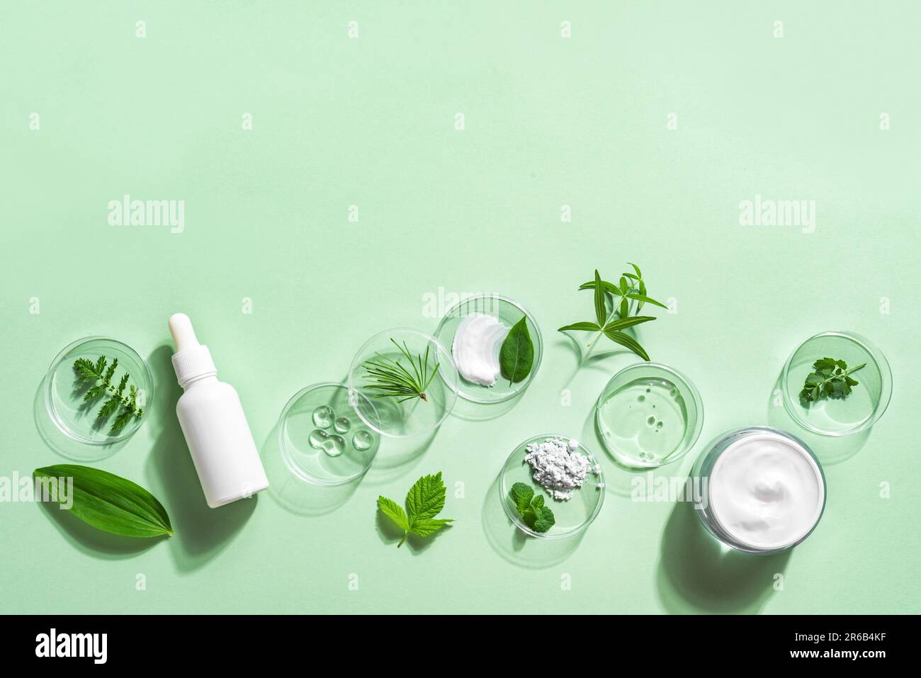 Produits cosmétiques biologiques pour les soins de la peau, ingrédients végétaux naturels sur fond vert, espace de copie, bannière. Bio recherche, soin de la peau à base de plantes et ECO lifty Banque D'Images