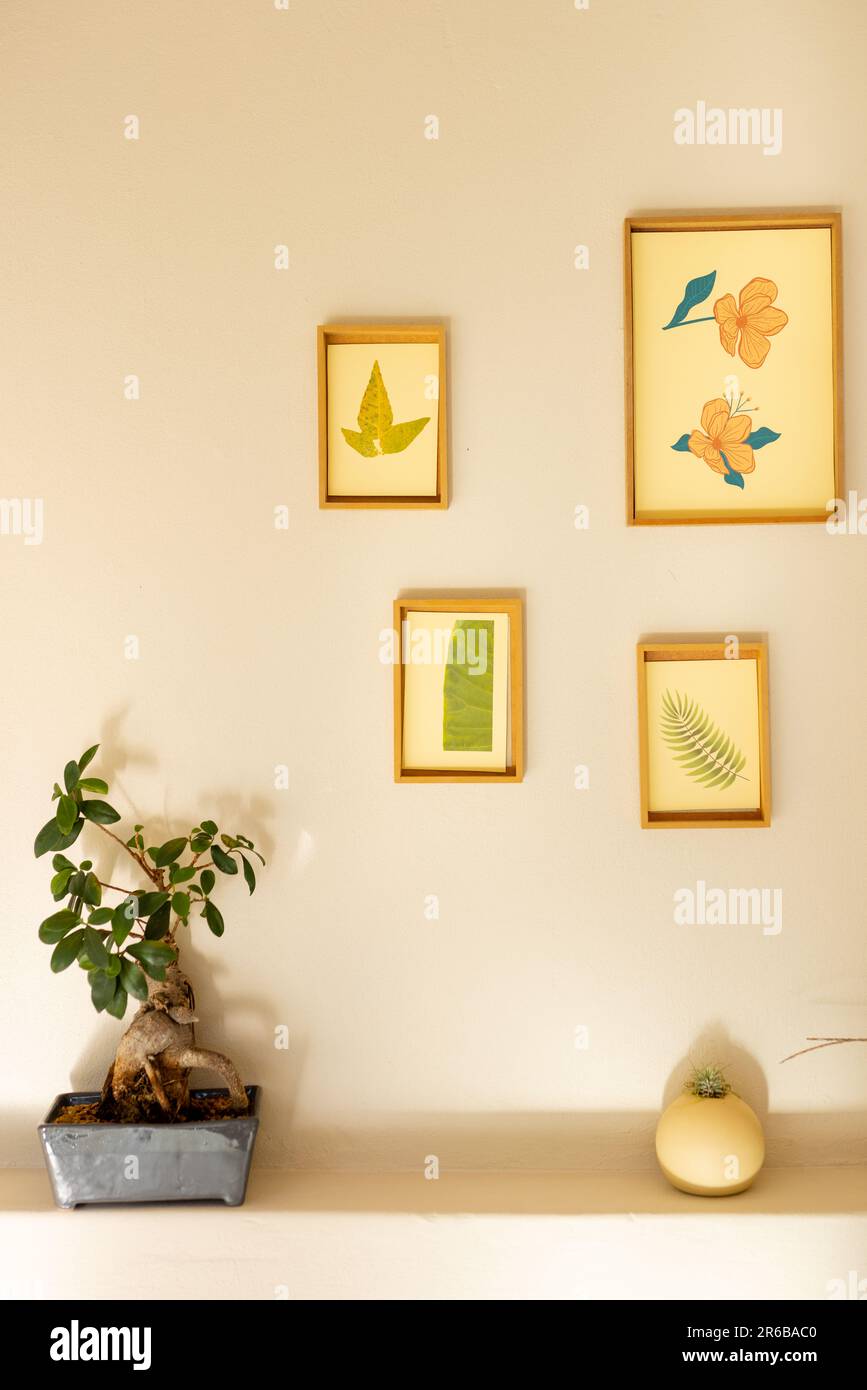 Photos de la nature encadrées sur le mur avec des plantes dans la salle lumineuse Banque D'Images