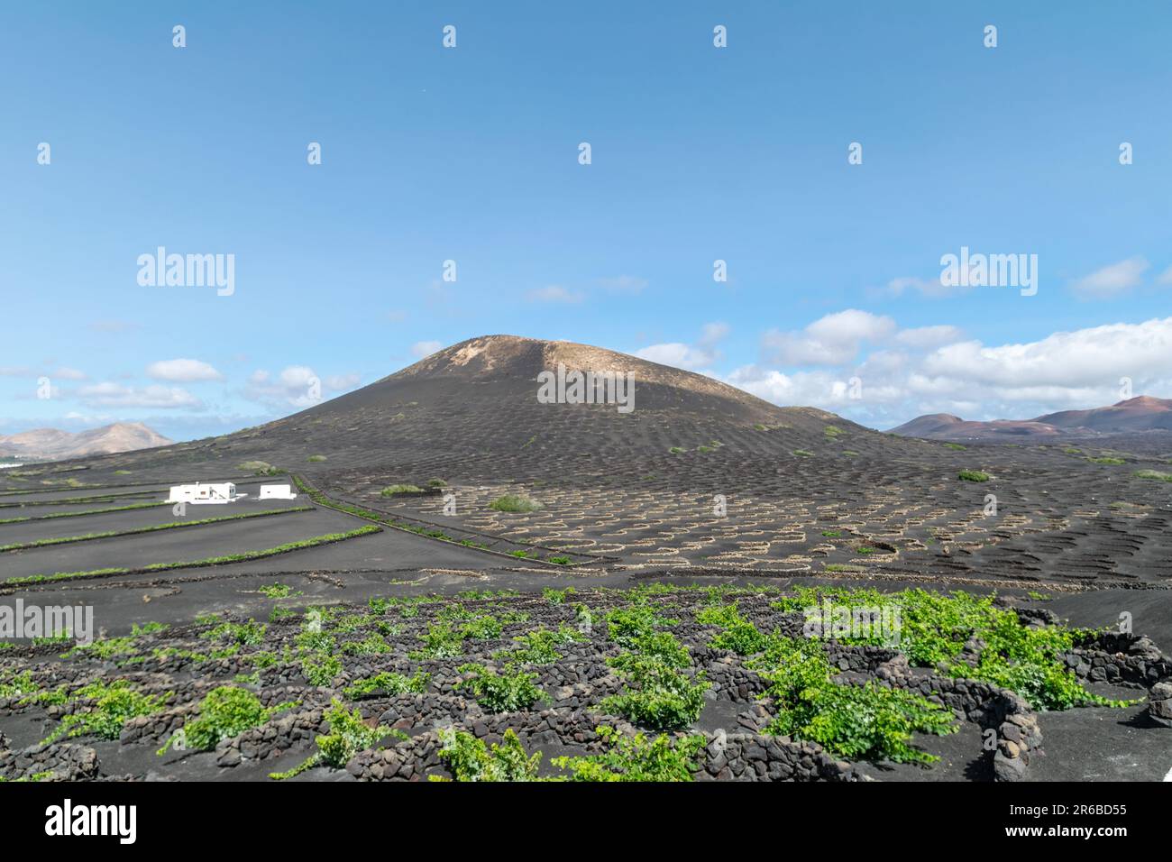 Une image de paysage surplombant les vignobles volcaniques trouvés sur l'île espagnole de Lanzarote. Banque D'Images