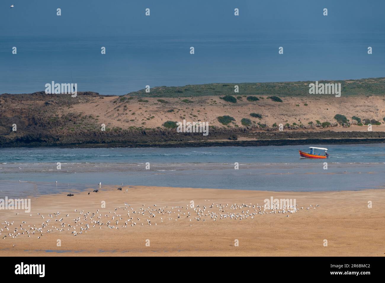 Un bateau dans le lagon à Sidi Moussa-Oualidia zones humides protégées RAMSAR près de la ville d'Oualidia au Maroc Banque D'Images