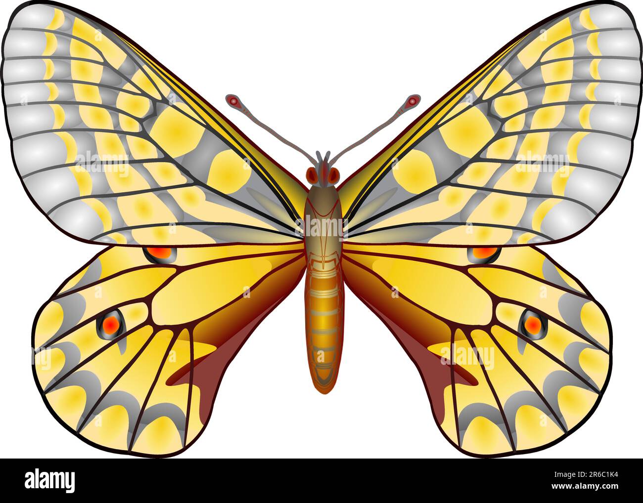 Papillon isolés Illustration de Vecteur
