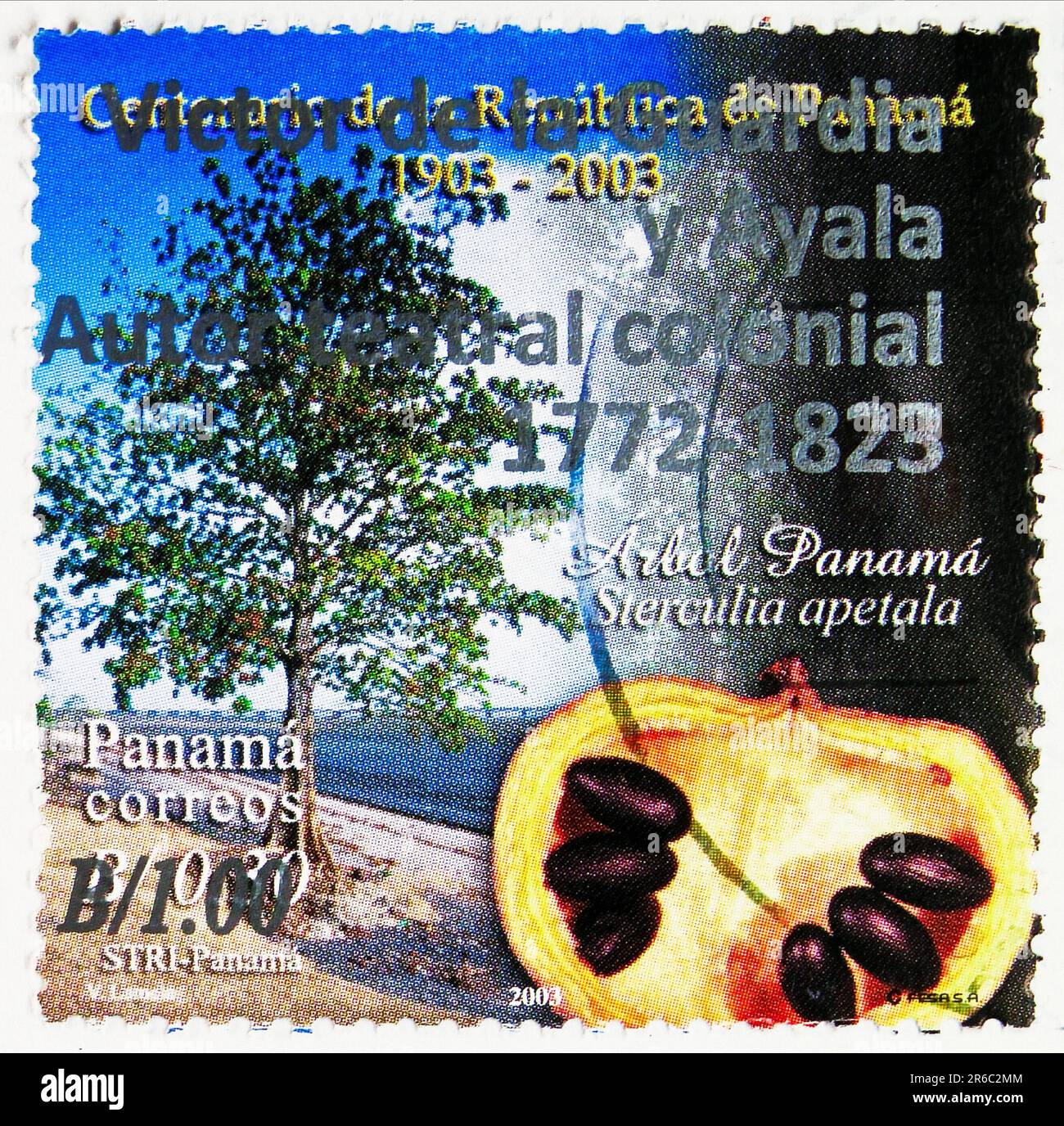 MOSCOU, RUSSIE - JUIN 3 2023: Timbre-poste imprimé au Panama montre Sterculia apetala, arbre national, série centenaire de la République du Panama, vers Banque D'Images