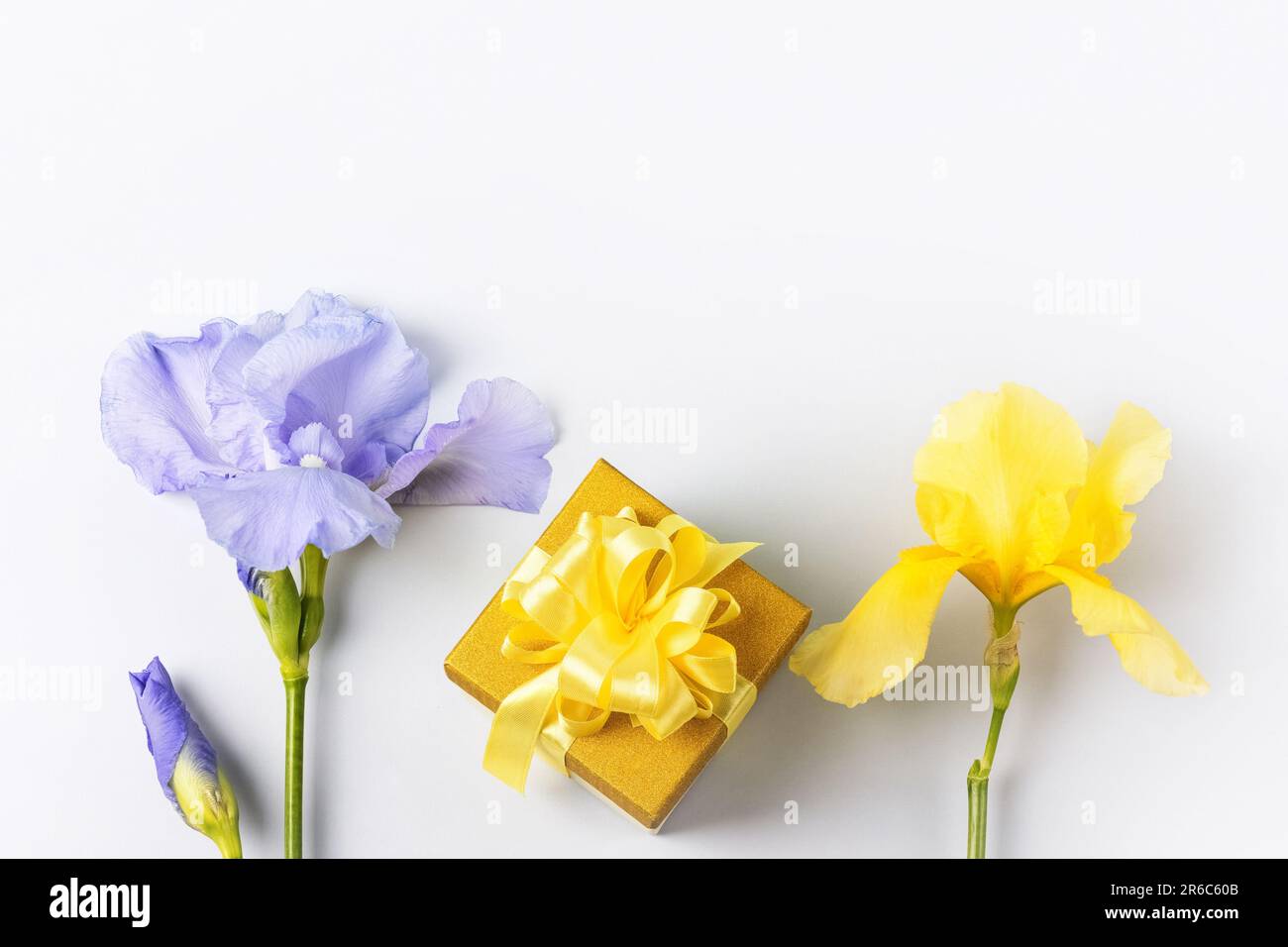 Boîte cadeau jaune avec un noeud en ruban satiné et des fleurs d'iris violet sur fond bleu avec un endroit pour votre texte. Carte de vœux pour la fête des mères, Valen Banque D'Images