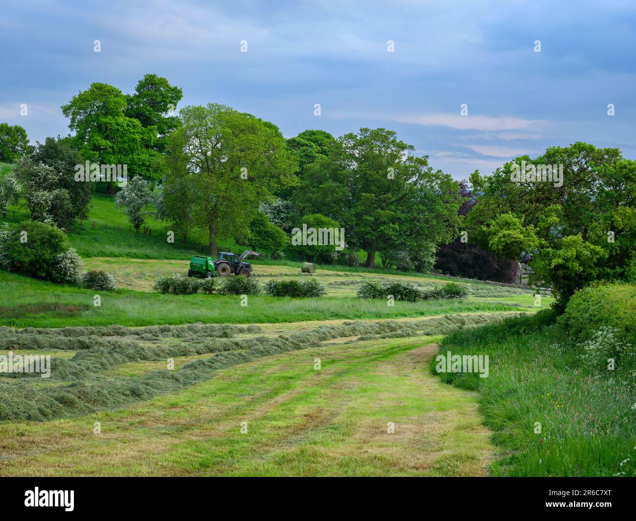 Fabrication de foin (tracteur Valmet en cours de conduite dans le champ tirant la presse McHale F5400, collecte de l'herbe sèche, 1 une balle ronde) - Leathley, Yorkshire, Angleterre, Royaume-Uni. Banque D'Images