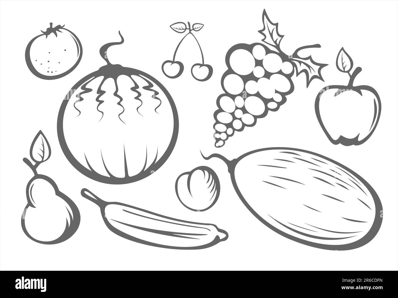La pomme stylisée, pêche, orange, poire, pastèque, melon, prune, cerise et raisin stylisés sur fond blanc. Illustration de Vecteur