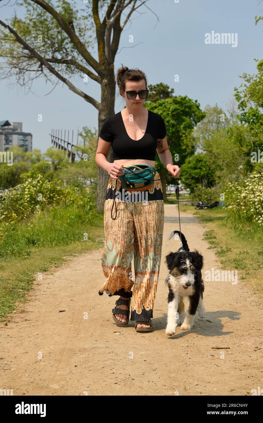 Entraîneur de chien femelle avec laisse marchant un chiot distrait par un bâton sur un chemin de terre à Barrie Marina Banque D'Images