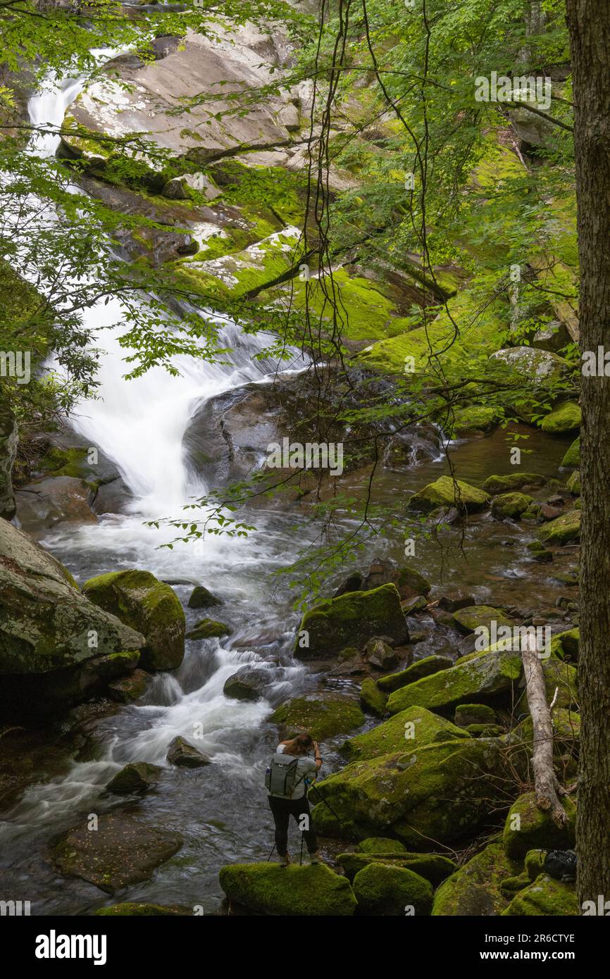 cascade profonde dans les bois photographiés Banque D'Images