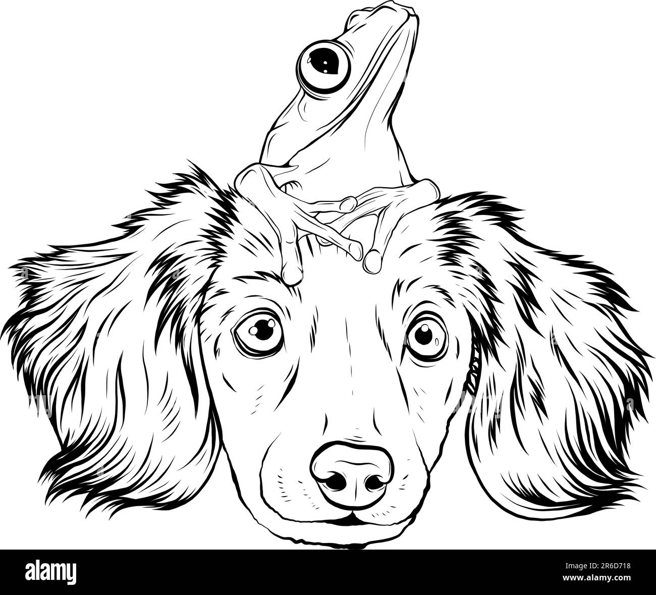 illustration vectorielle de dessin animé monochrome pour chien et grenouille Illustration de Vecteur