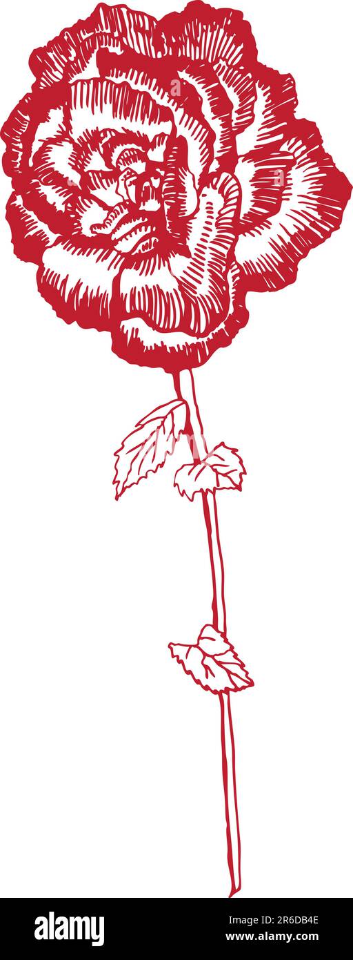 Image tirée à la main d'une rose - rouge. Illustration de Vecteur