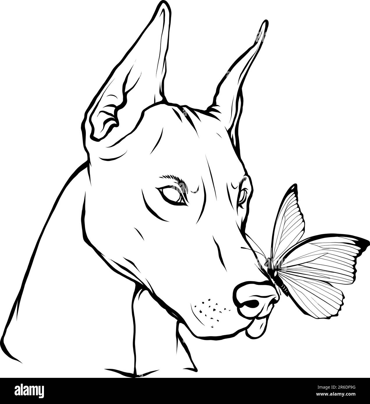 illustration vectorielle de dessin animé monochrome pour chien et grenouille Illustration de Vecteur