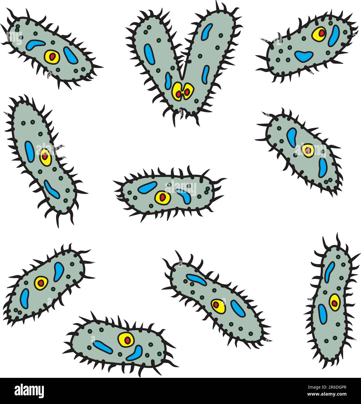 Certains microbes vectoriels - infodoriens sur fond blanc Illustration de Vecteur