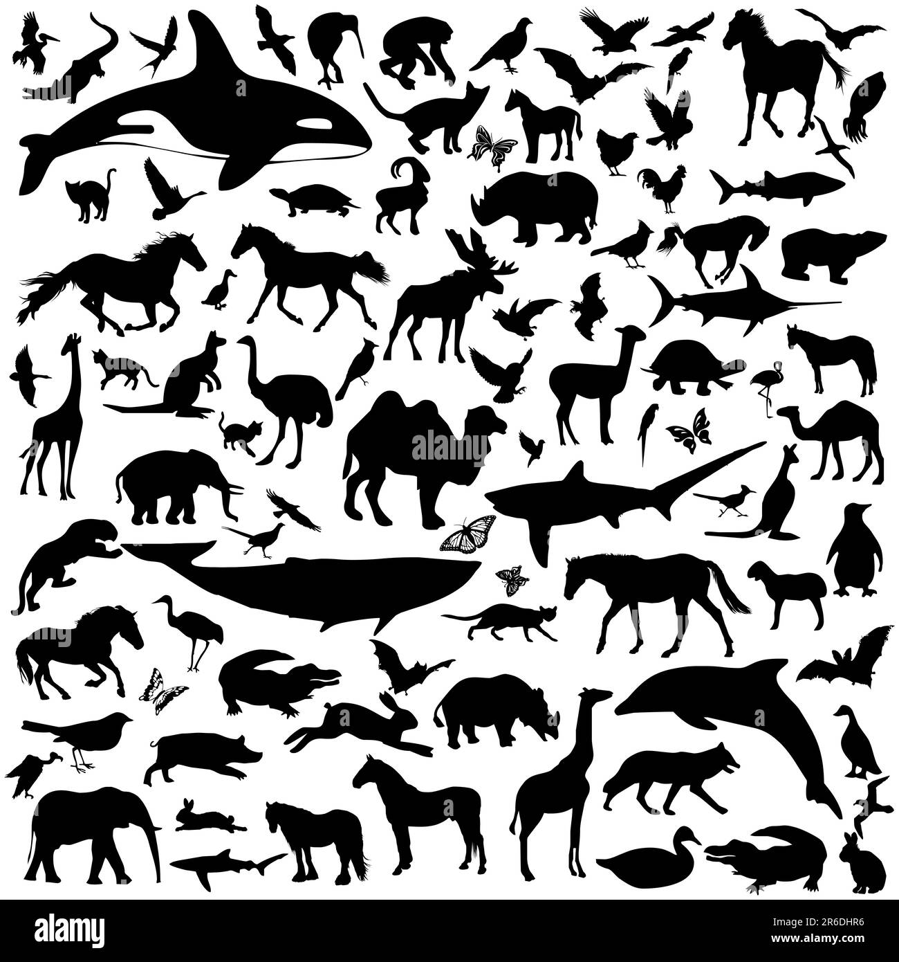 Grande collection de différents animaux silhouettes Illustration de Vecteur