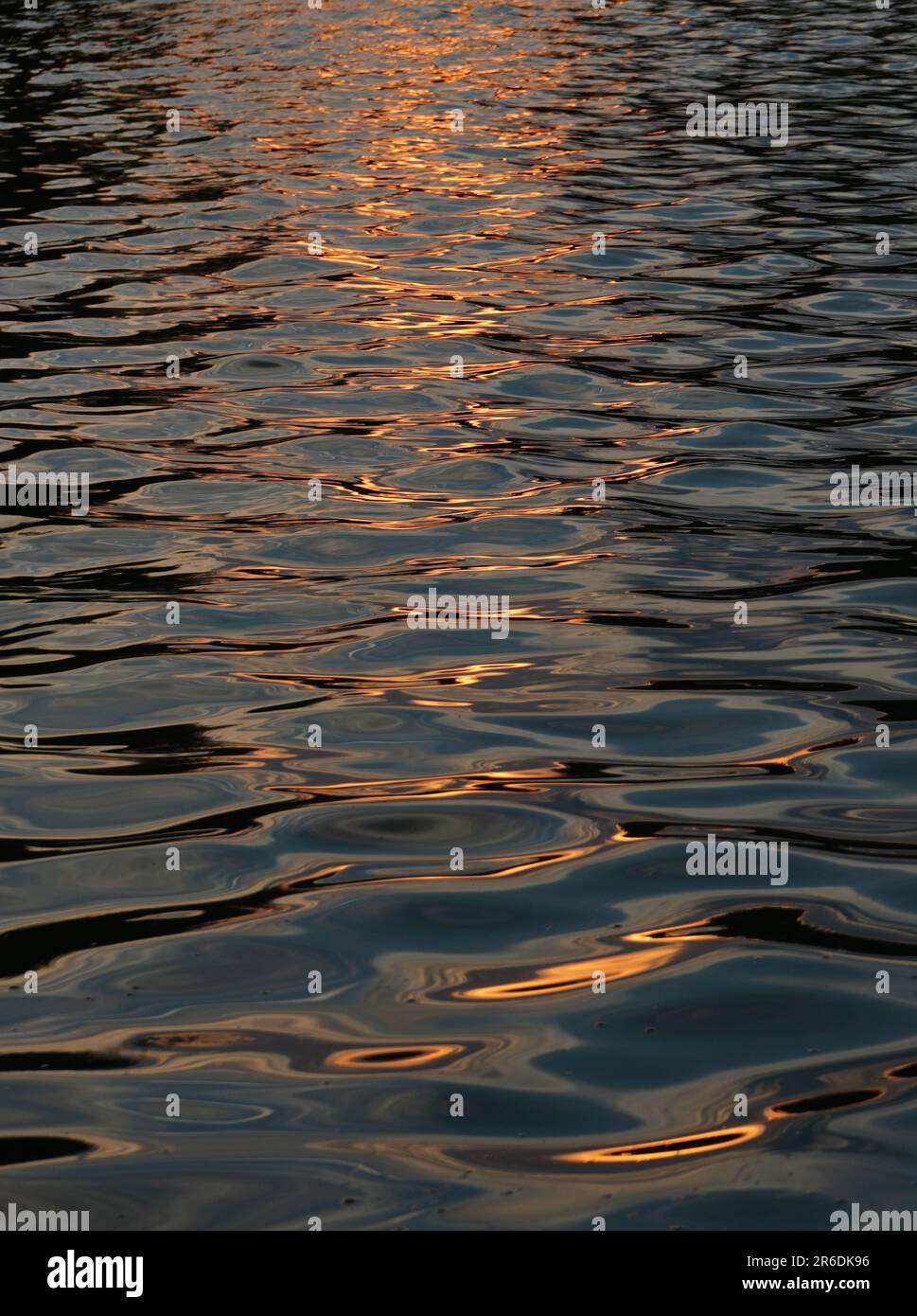 Surface de l'eau avec des ondulations et la lumière dorée du soleil réfléchie sur elle au coucher du soleil. Arrière-plan naturel. Banque D'Images