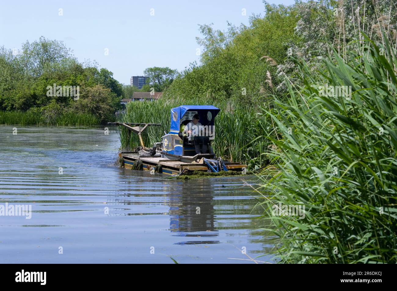Contrôle des Weed aquatiques Banque D'Images