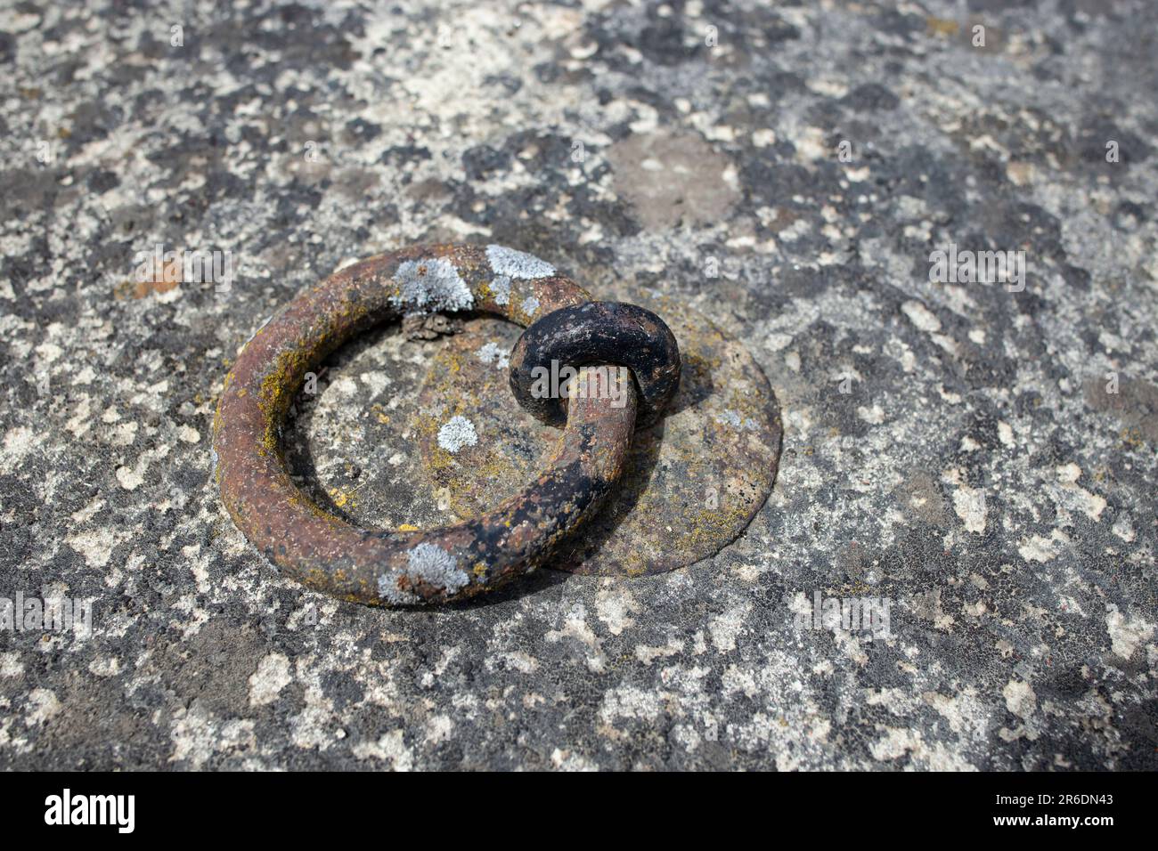 Poignée à anneau métallique robuste fixée dans le béton ancien et abîmé, mise au point douce en gros plan Banque D'Images