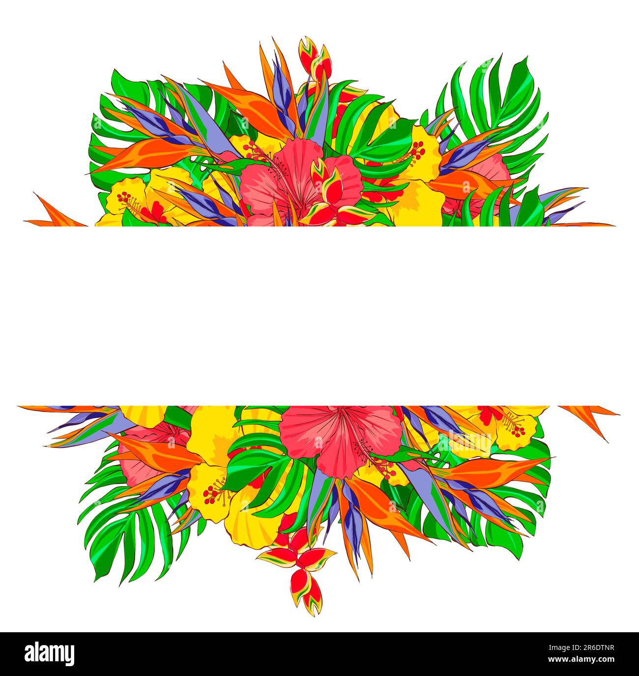 Fleurs et feuilles tropicales. Modèle de médias sociaux. Illustration du dessin à la main Banque D'Images