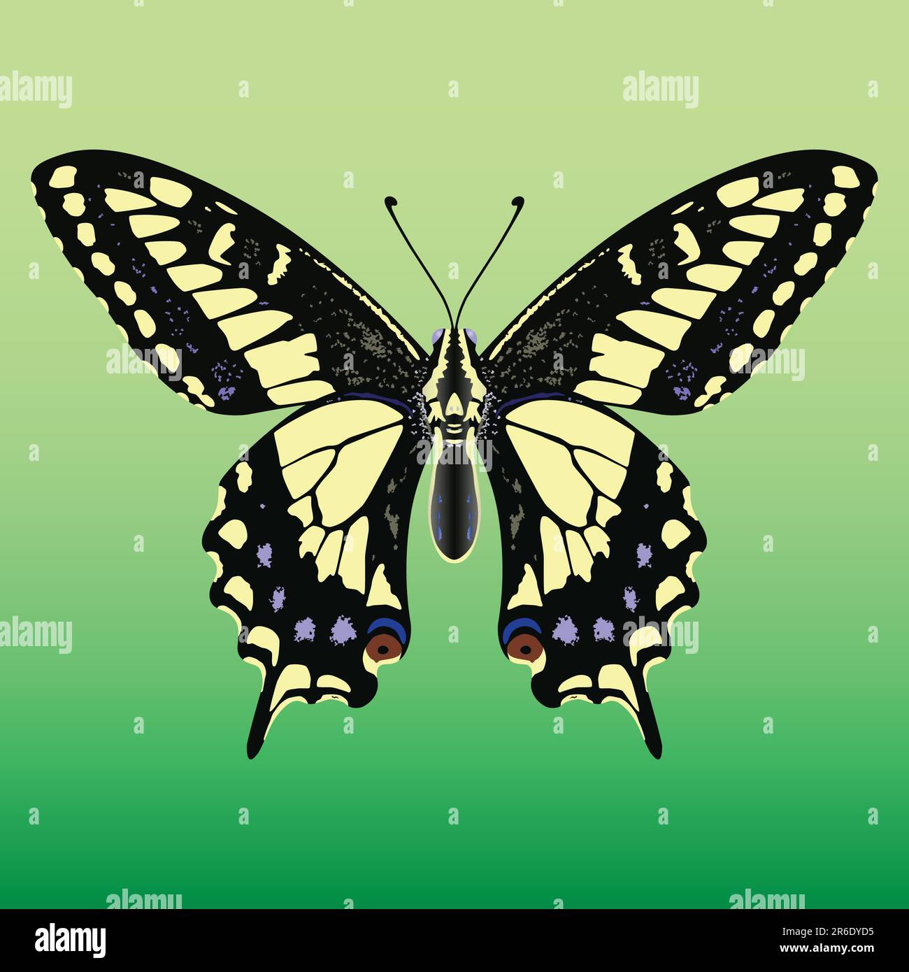 Magnifique vecteur jaune et noir papillon géant Illustration de Vecteur
