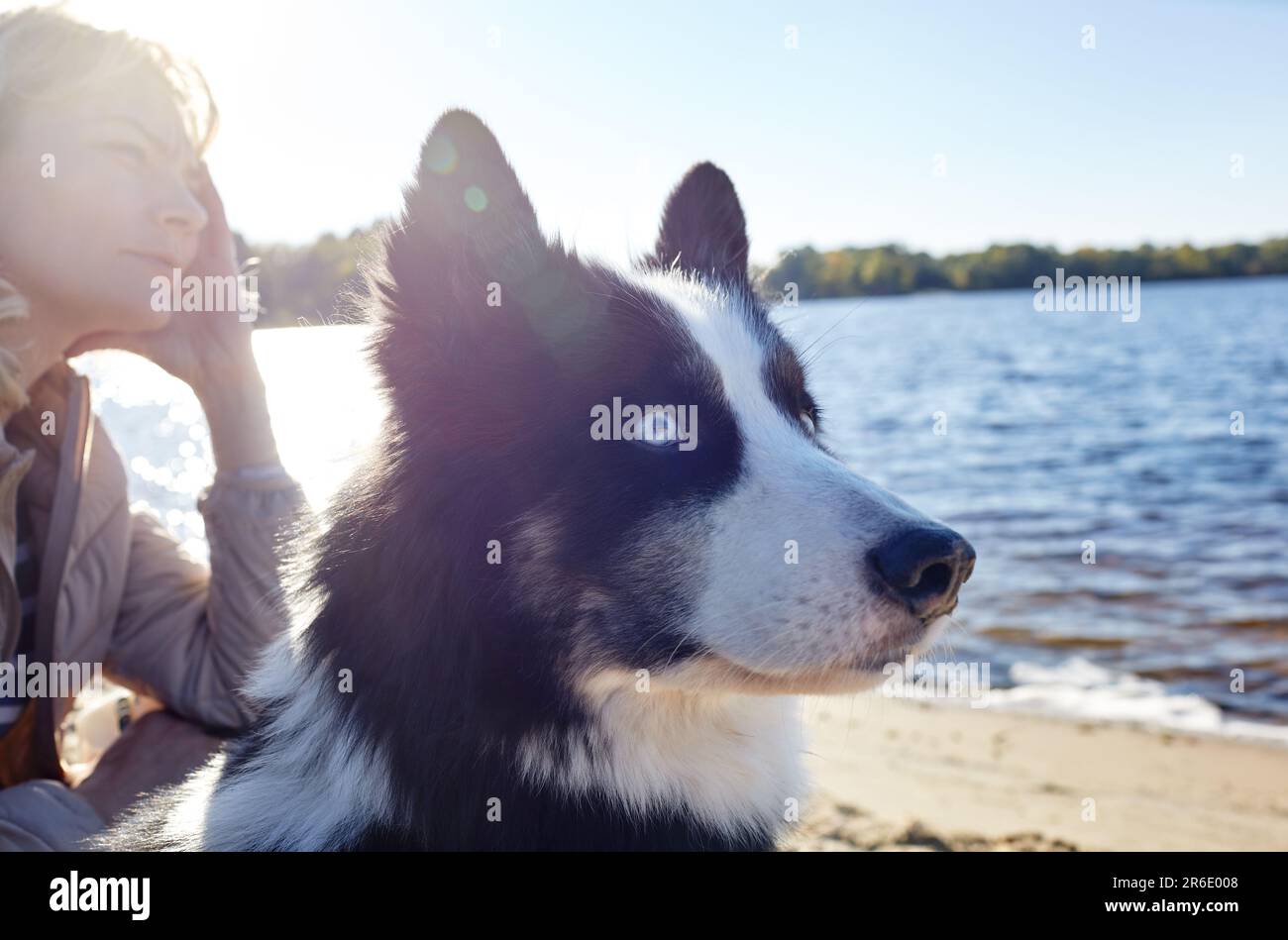 Propriétaire avec un chien de laika sibérien sur une plage. Amitié d'un chien et d'une femme Banque D'Images