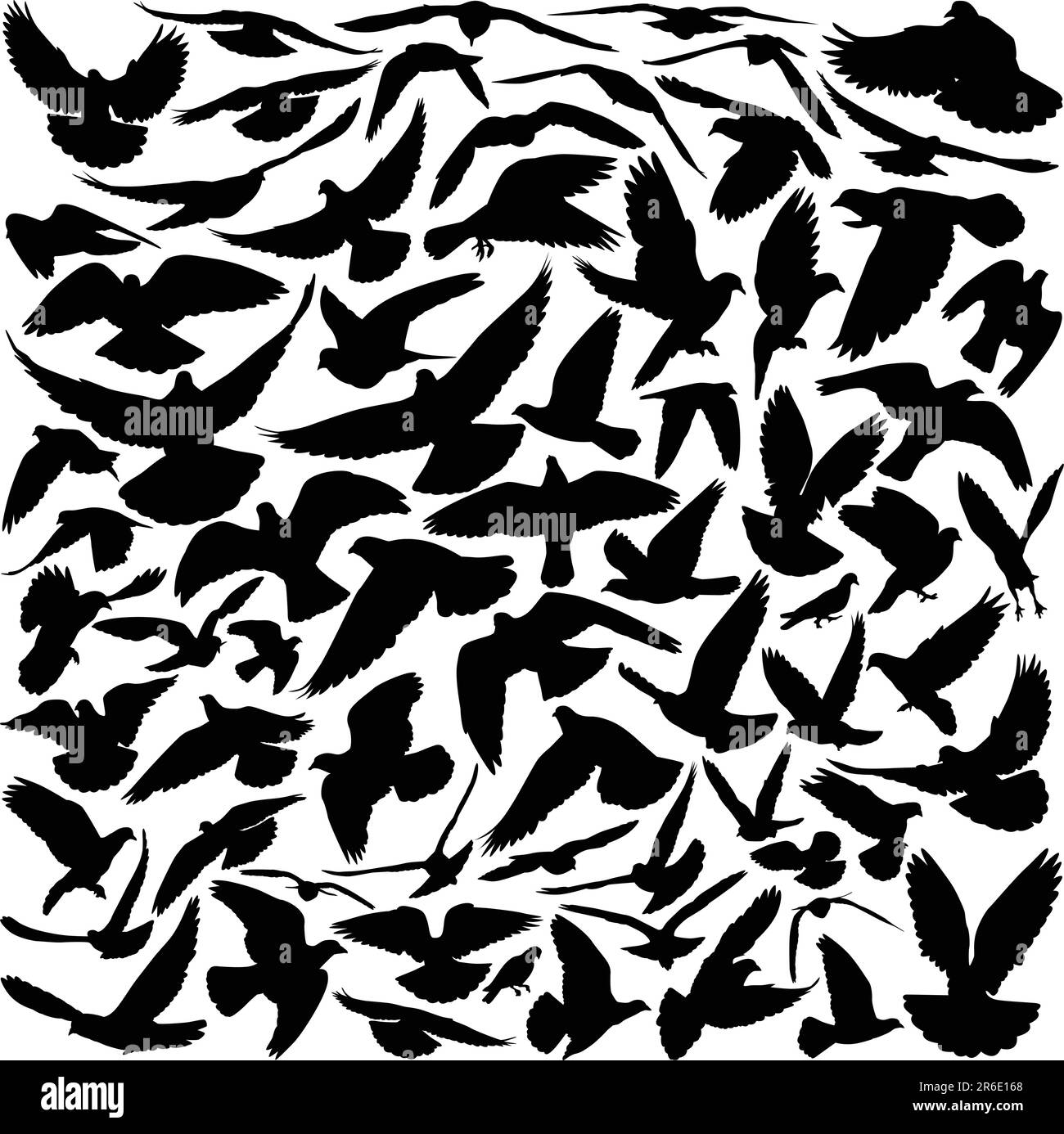 Silhouettes de pigeons dans beaucoup de différentes positions et angles de vol Illustration de Vecteur