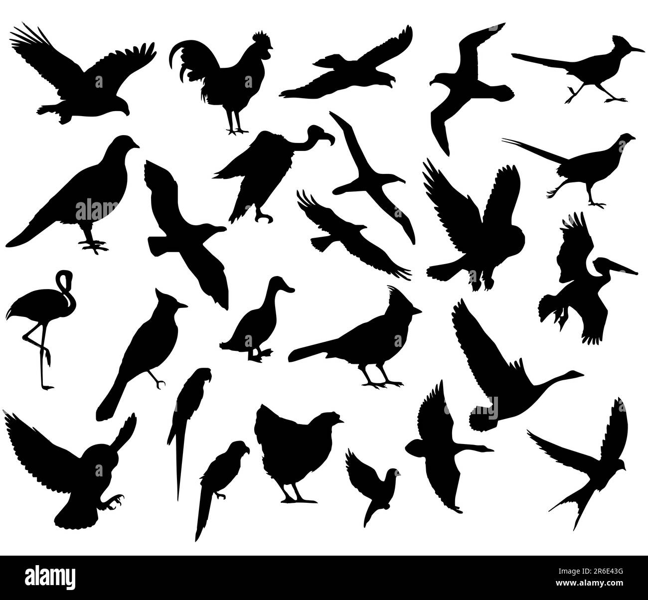 collection vectorielle de silhouettes pour oiseaux volants Illustration de Vecteur