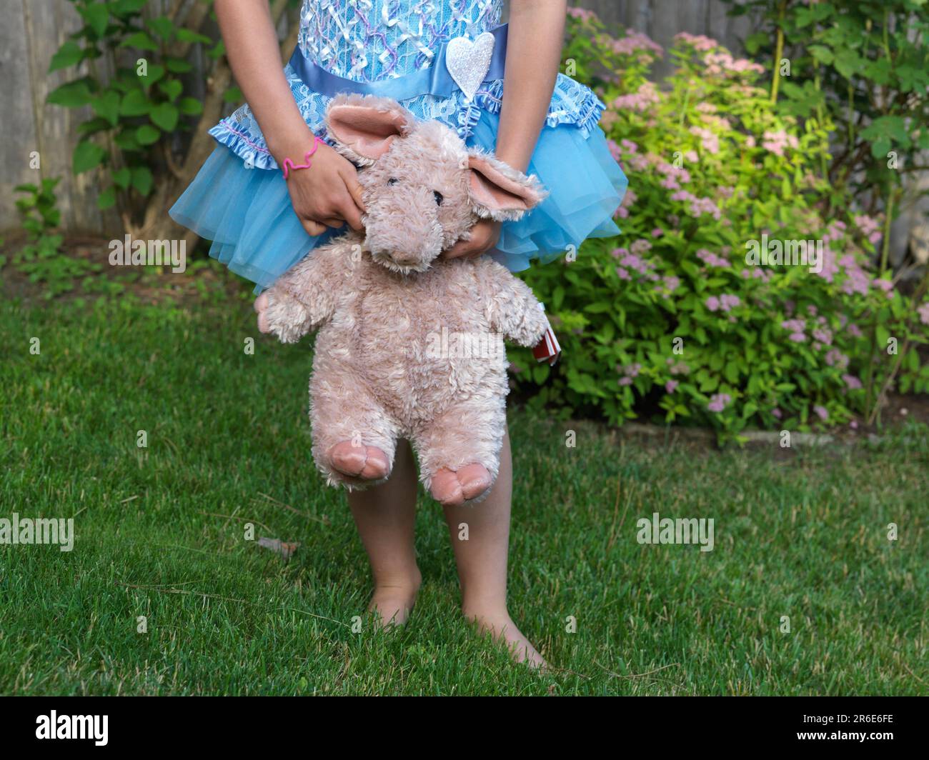 une fille en tutu tient un cochon farci Banque D'Images