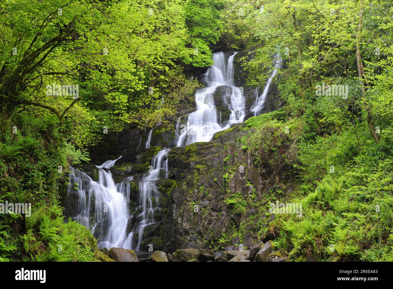 Cascade de Torc, parc national de Killarney, anneau de Kerry, comté de Kerry, Irlande Banque D'Images