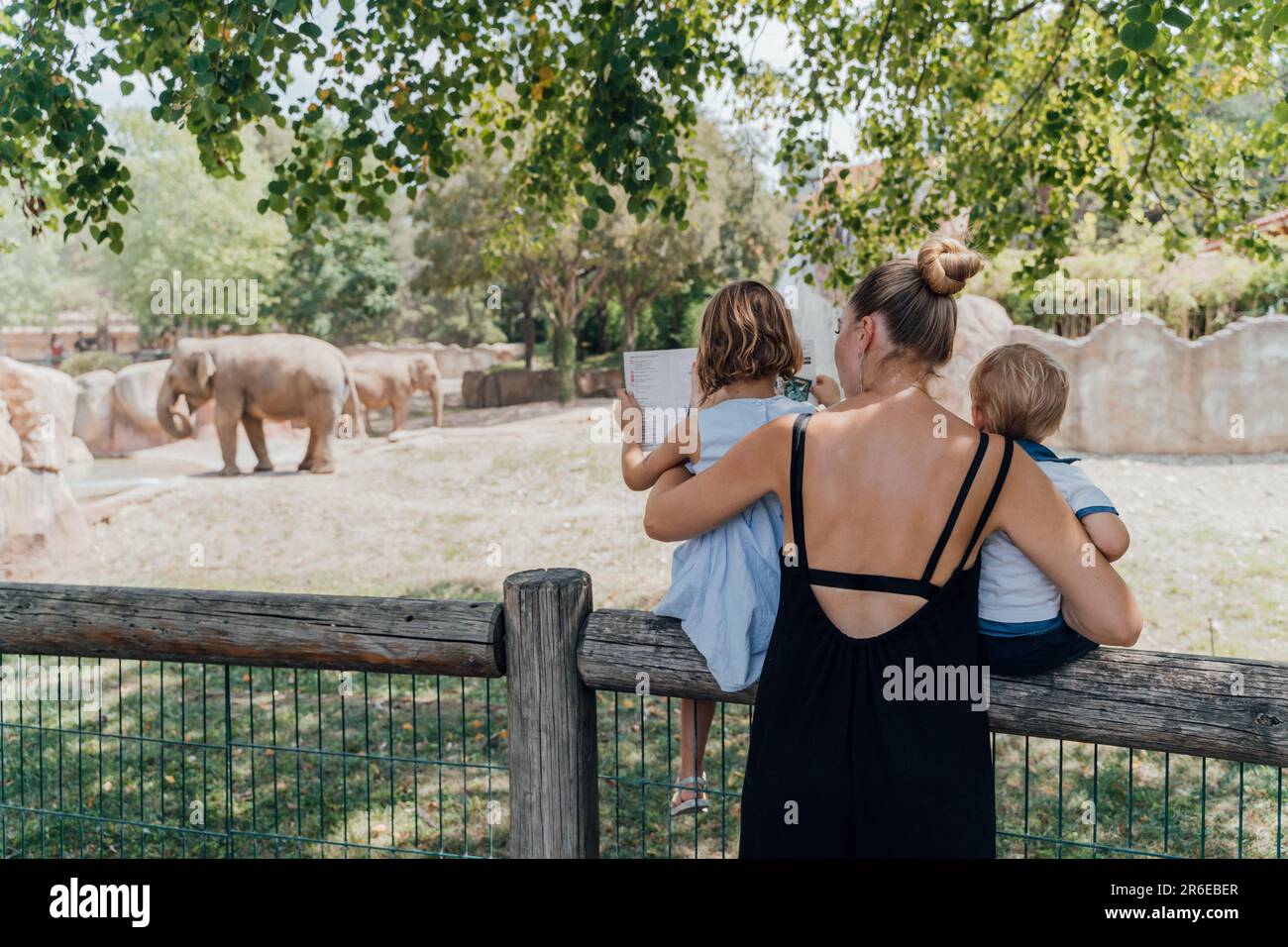 Femme avec deux enfants regardant les animaux dans le zoo, vue arrière Banque D'Images