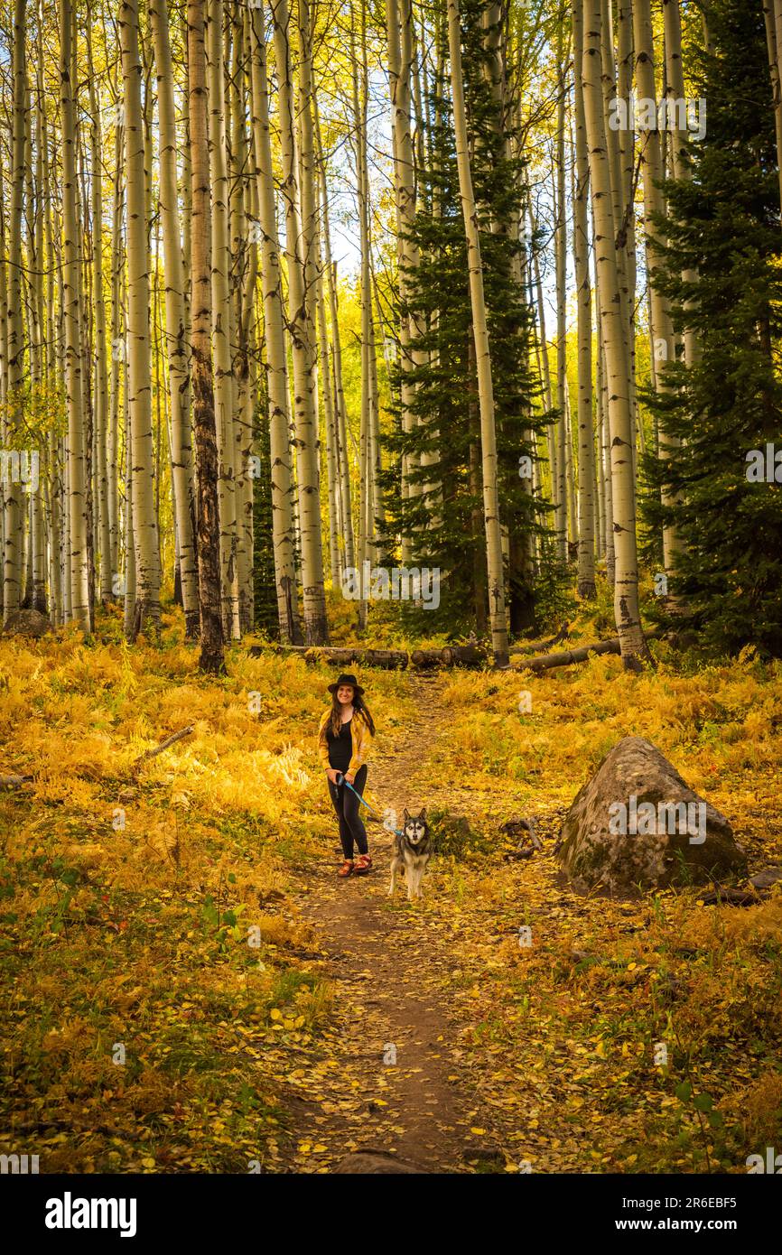 Femme chien de marche dans les couleurs d'automne du Colorado Banque D'Images