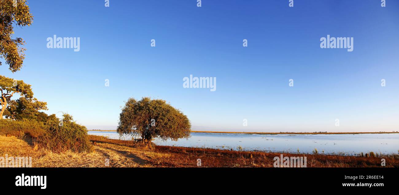 Panorama du paysage fluvial dans le parc national de Chobe, Botswana, paysage au parc national de Chobe, Botswana Banque D'Images