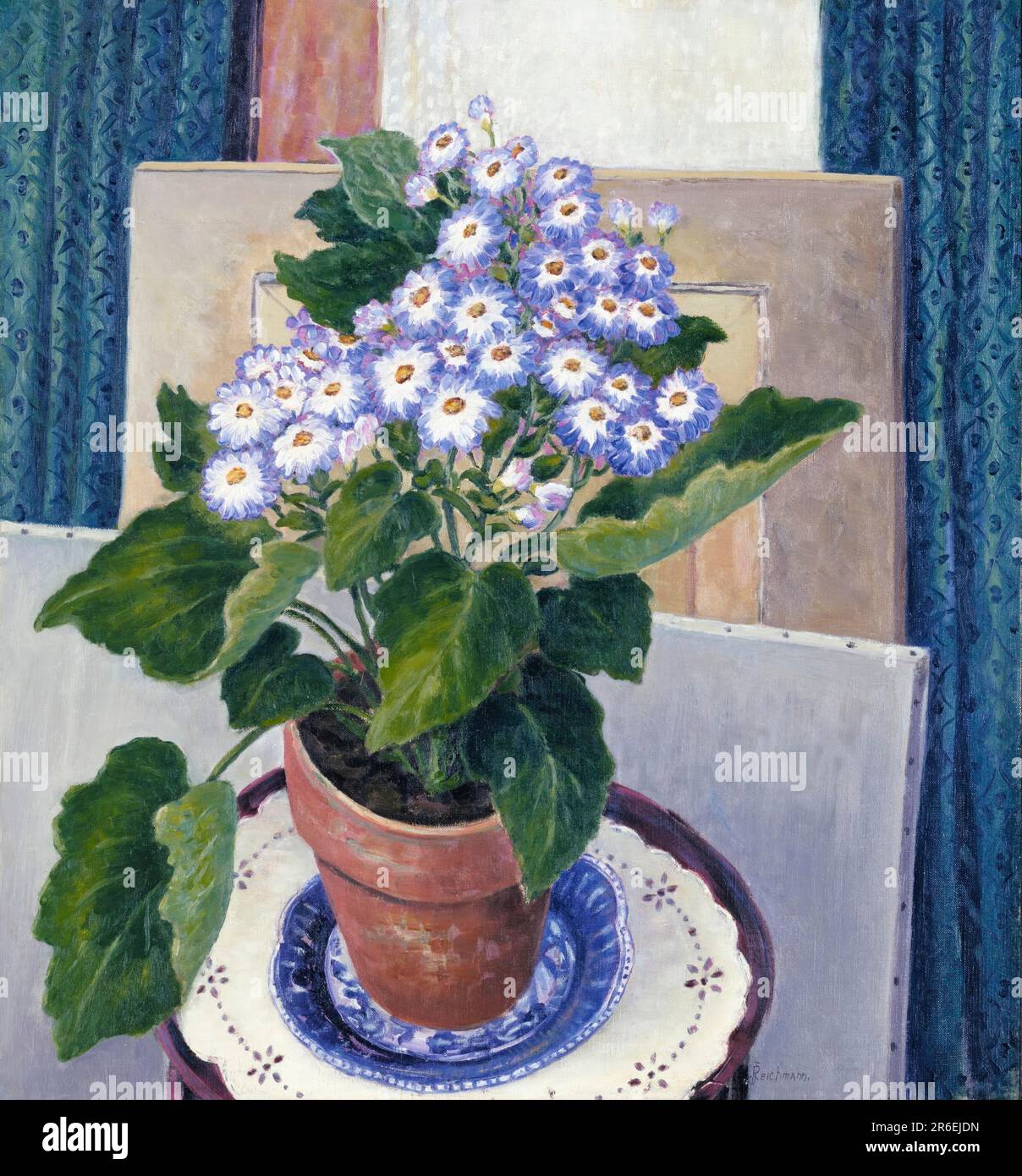 Cineraria. huile sur toile. Date : env. 1933-1934. Musée: Smithsonian American Art Museum. Banque D'Images