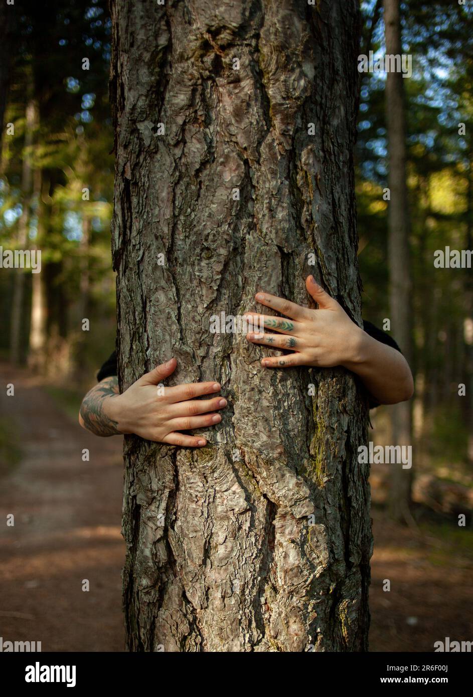 Une jeune femme embrassant l'arbre avec ses bras. Concept d'amour pour la nature. Amour à la terre. L'amour de Pachamama. Banque D'Images