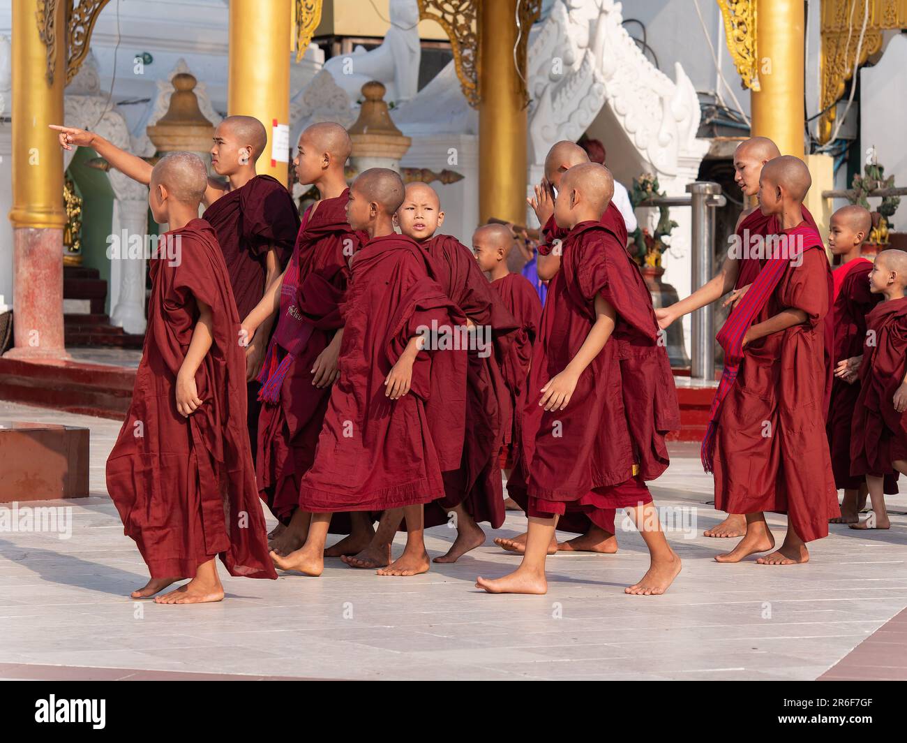 Groupe de jeunes moines à la Pagode Shwedagon, le monument le plus célèbre de Yangon, au Myanmar. Banque D'Images