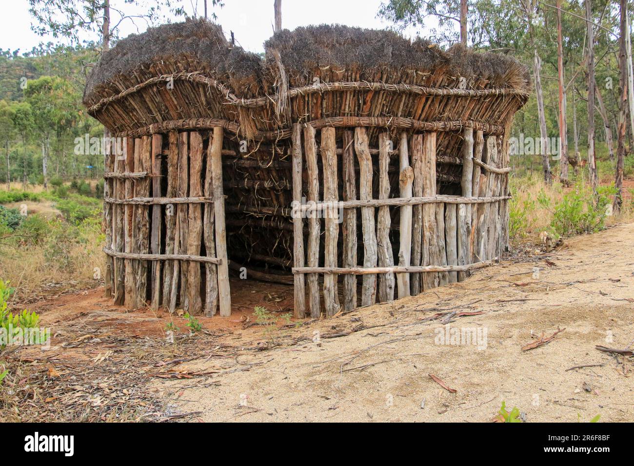 Afrique, Éthiopie, tribu Konso, village de Mecheke, animaux corrals Banque D'Images