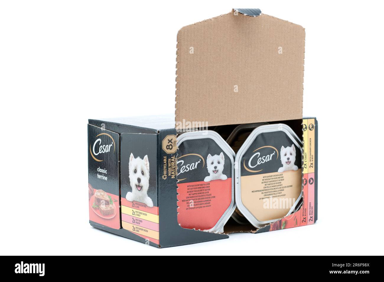 Boîte de 8 boîtes de nourriture complète Cesar Classic Terrine pour chiens avec poulet tendre et dinde, bœuf et foie succulents, volaille tendre, poulet salé Banque D'Images