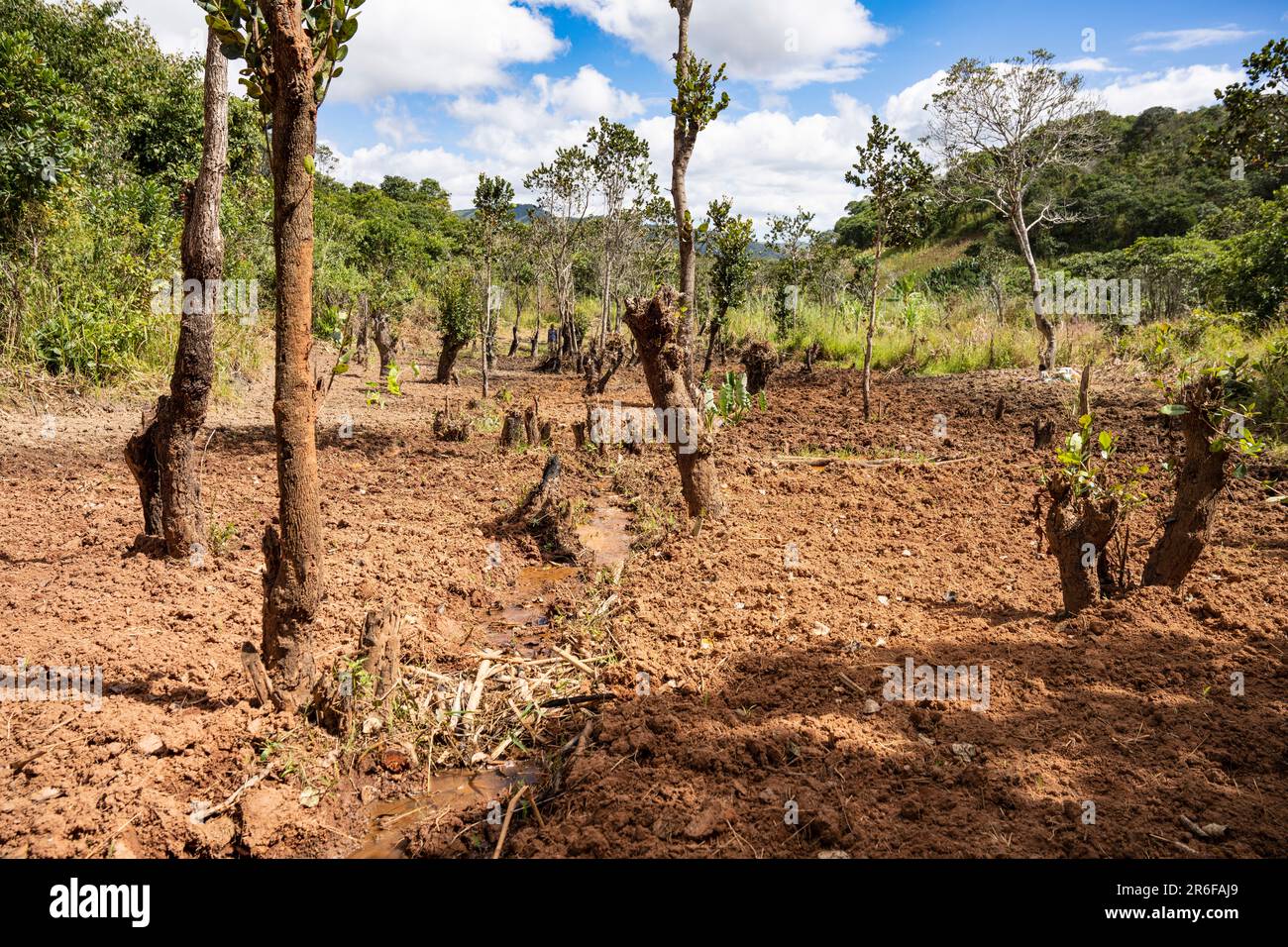 Agriculture et déforestation au fond d'une vallée fluviale dans le nord du Malawi Banque D'Images