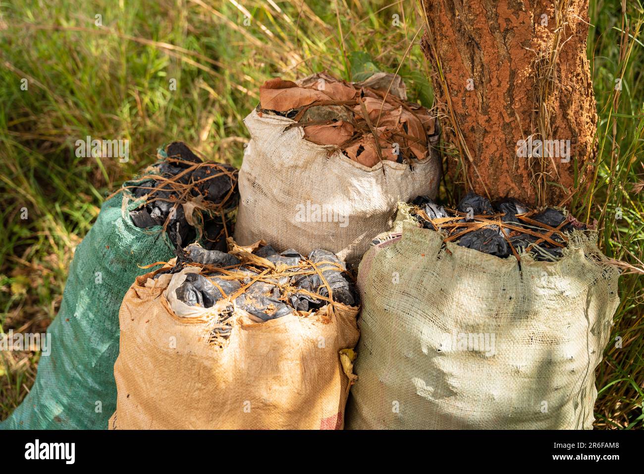 Plusieurs sacs de charbon de bois produit illégalement dans les zones rurales du Malawi - un moteur de la déforestation Banque D'Images